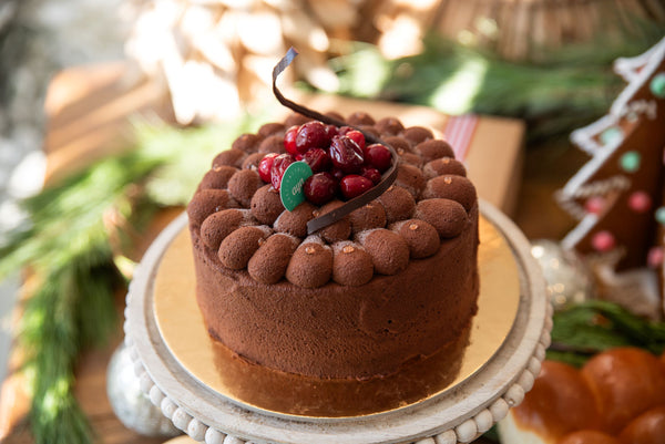 Chocolate Cranberry Mousse Cake