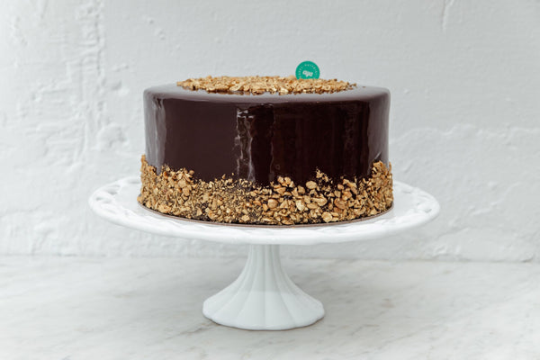 Chocolate peanutbutter cake